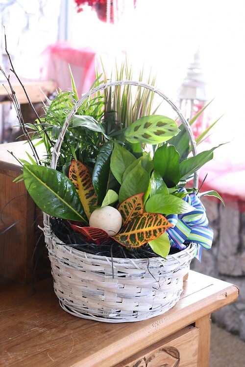 Large Planter Basket